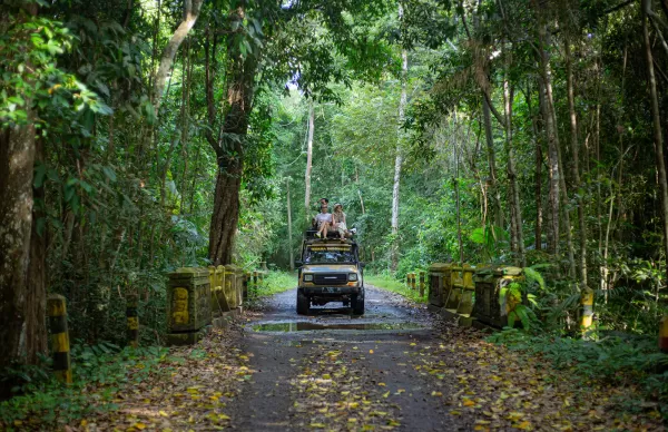 Sewa elf ke Taman Nasional Alas Purwo