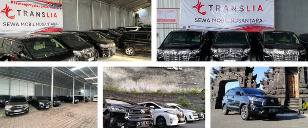 Translia fleet lineup