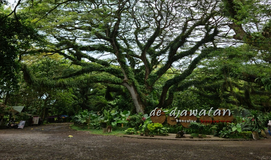 Sewa Motor ke Hutan De Djawatan